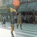 1980 ���